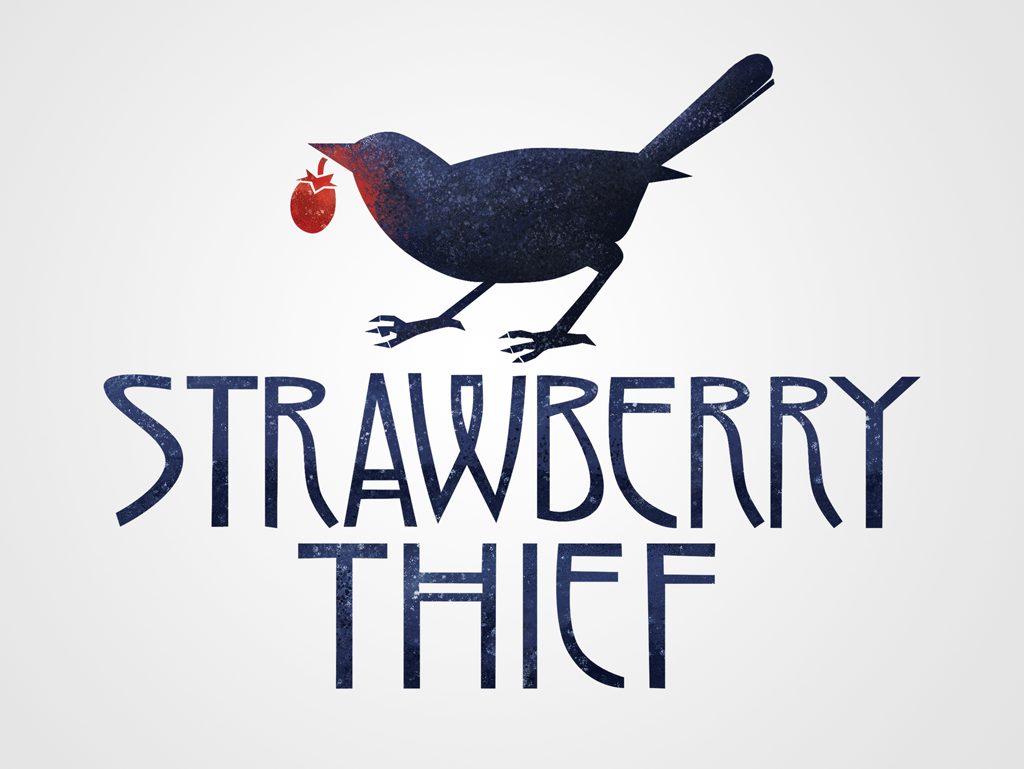  V&A (Victoria & Albert) Museum Strawberry Thief by